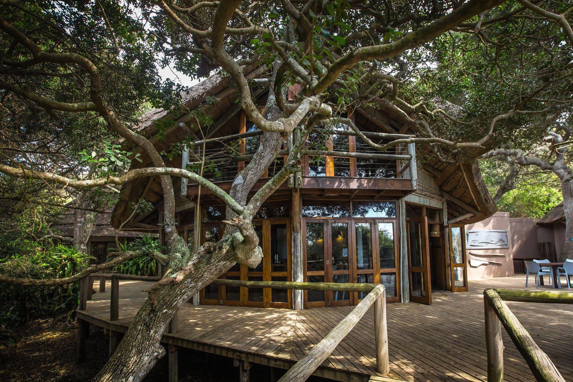 Thonga Beach Lodge Mabibi Eksteriør billede